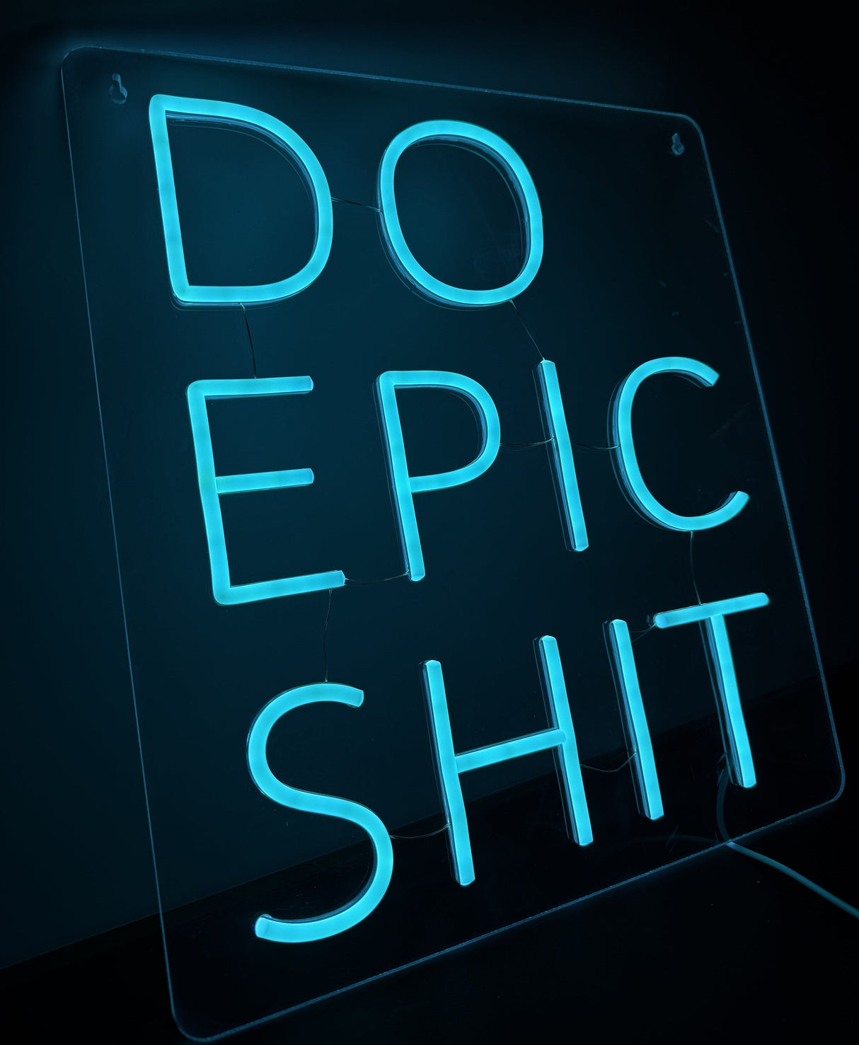 Do Epic Shit Neon Vegglampe