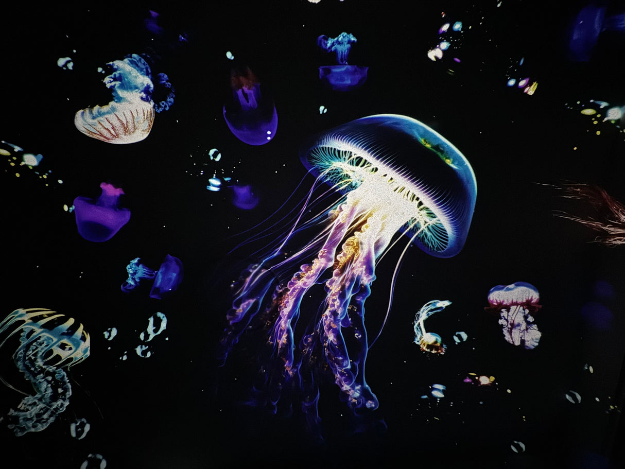 Sky LED Projektor RGB