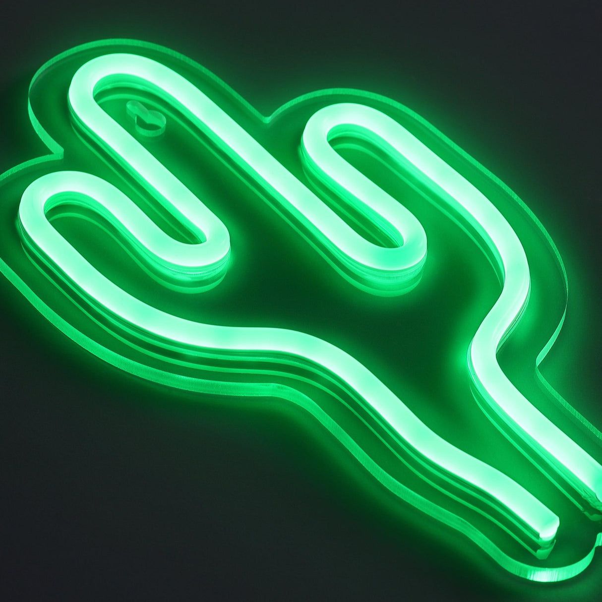 Cactus Mini Neon Vägglampa-Lampconcept.se