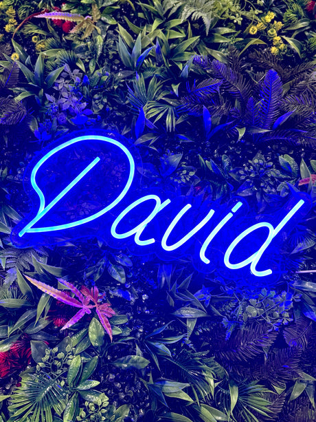 Neon navneskilt
