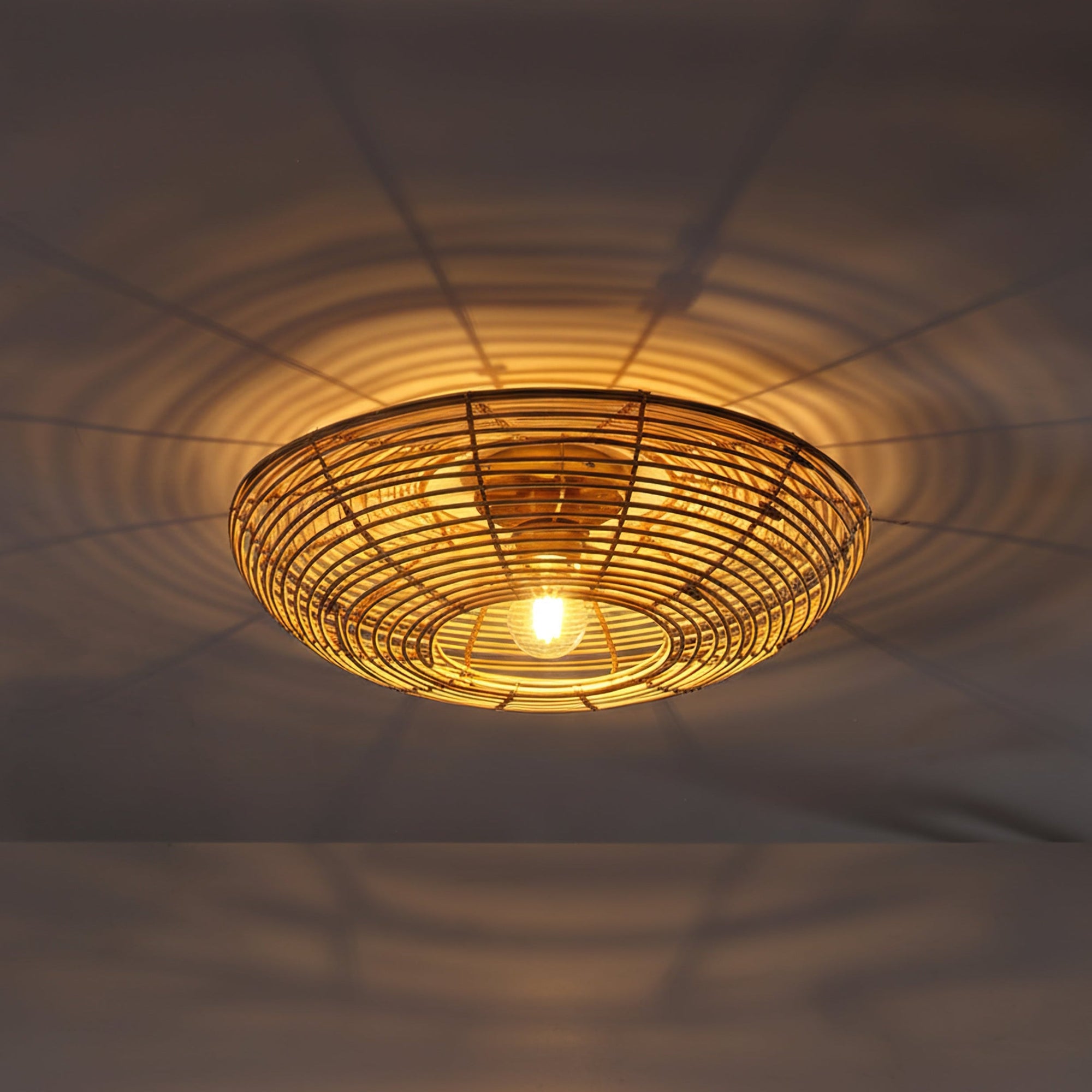 Ojo Taklampe Ø50