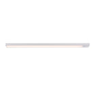 Hvit