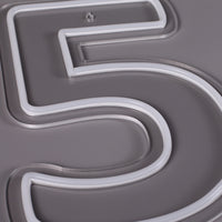 Tall 5 Neonskilt