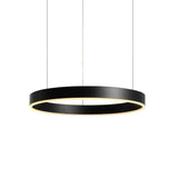 Vision Pendellampe Ø60 Svart