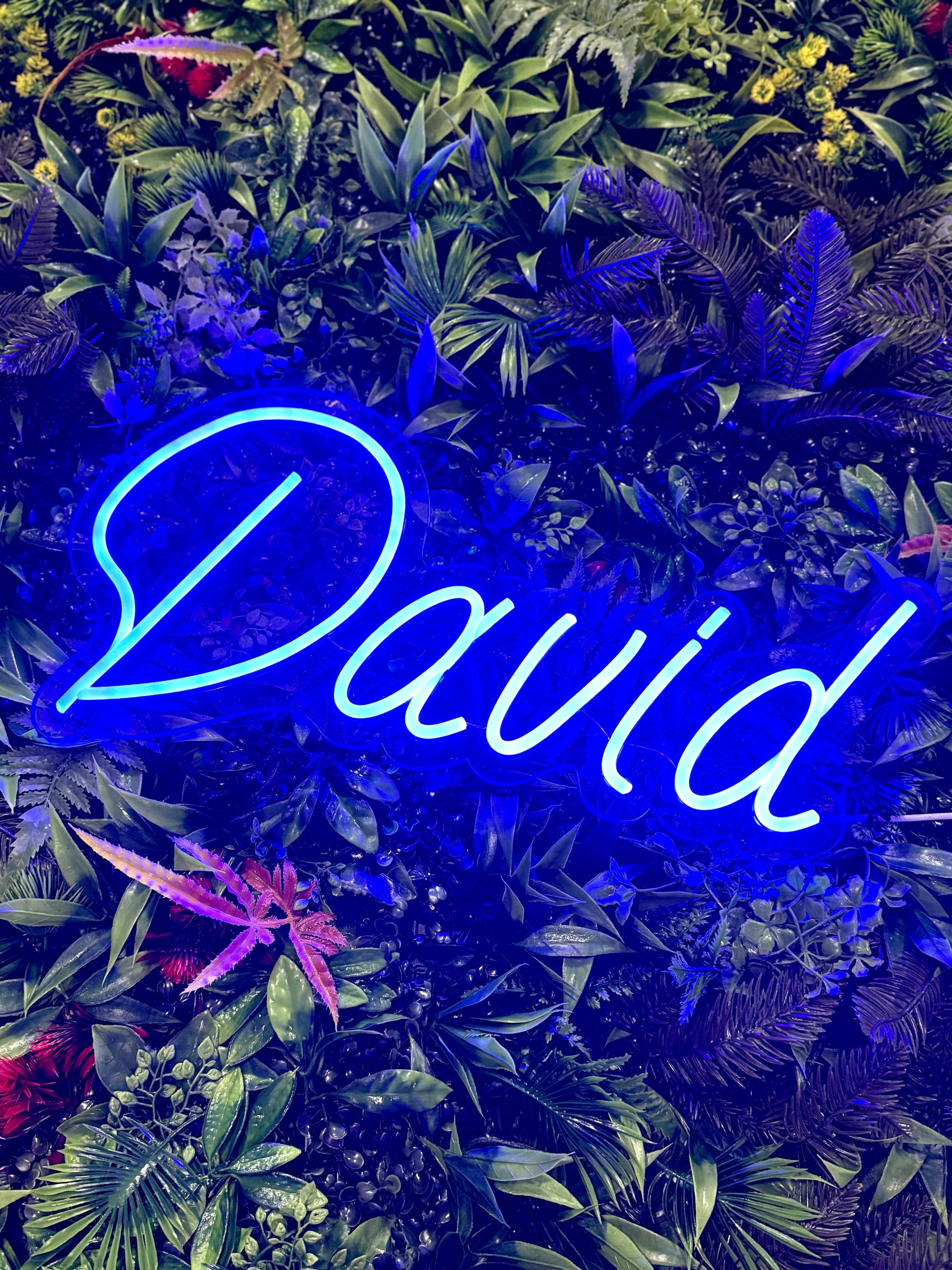Neon Navneskilt Blå
