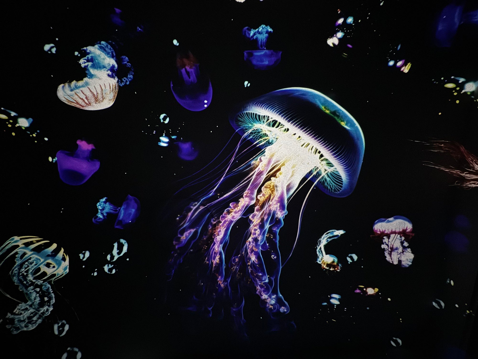 Sky LED Projektor RGB