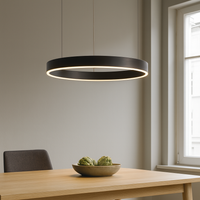 Vision Pendellampe Ø60