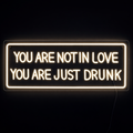 Youre Not In Love Neonskilt